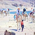 Soly Tours Agency, Egypt travel,